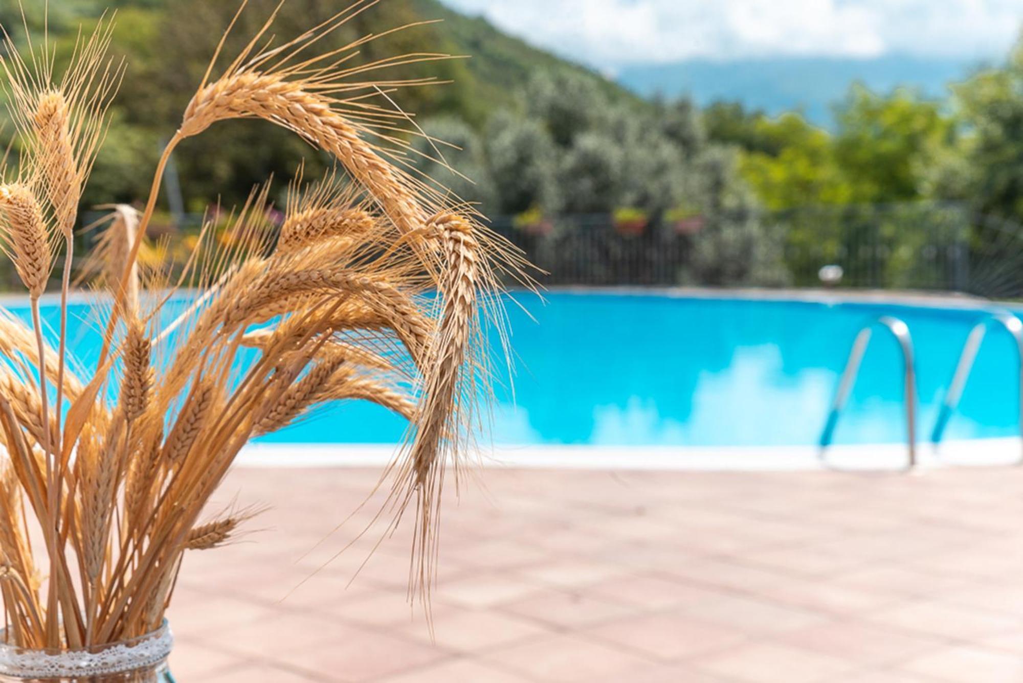 Salento Agriturismo San Basilio المظهر الخارجي الصورة